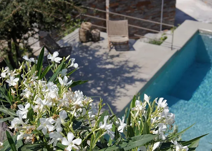 Orso Blue I * Ioulis