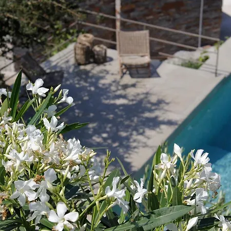 Orso Blue I * Ioulis